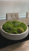 Load and play video in Gallery viewer, Moss Arrangement, Moss centerpiece, Moss succulent garden
