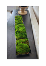 Load image into Gallery viewer, Moss Arrangement in Metal Planter - STYLE LOFT HOME
