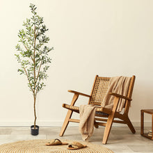 Load image into Gallery viewer, 82” Olive Tree, Near Natural Green Artificial Silk - STYLE LOFT HOME
