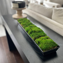 Load image into Gallery viewer, Moss Arrangement in Metal Planter - STYLE LOFT HOME
