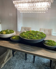 Load image into Gallery viewer, Moss Arrangement, Moss centerpiece, Moss succulent garden
