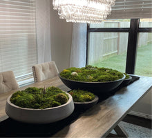 Load image into Gallery viewer, Moss Arrangement, Moss centerpiece, Moss succulent garden
