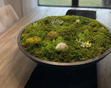 Load image into Gallery viewer, Moss Arrangement, Moss centerpiece, Moss succulent garden
