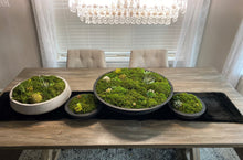 Load image into Gallery viewer, Moss Arrangement, Moss centerpiece, Moss succulent garden
