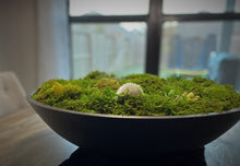 Load image into Gallery viewer, Moss Arrangement, Moss centerpiece, Moss succulent garden
