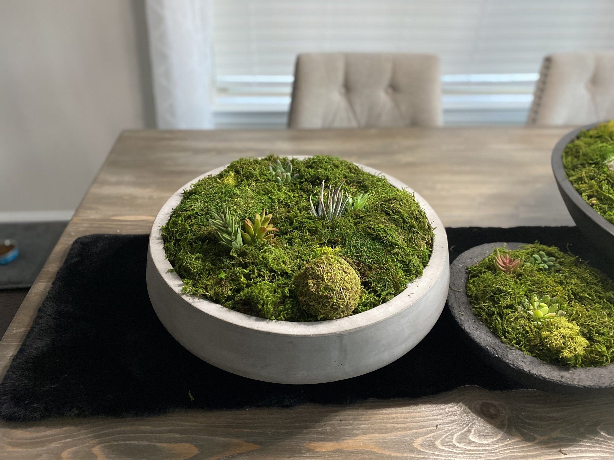 Moss Arrangement, Moss centerpiece, Moss succulent garden