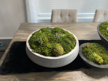 Load image into Gallery viewer, Moss Arrangement, Moss centerpiece, Moss succulent garden
