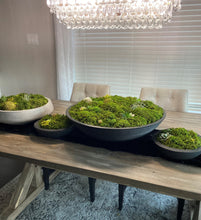 Load image into Gallery viewer, Moss Arrangement, Moss centerpiece, Moss succulent garden
