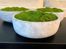 Load image into Gallery viewer, Moss Bowl arrangement, set
