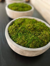 Load image into Gallery viewer, Perseved Moss 
