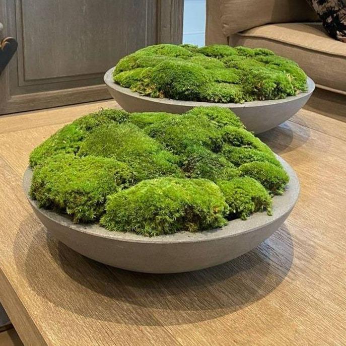 Macomine Design Newly Released Moss Bowl |12 Diameter | Artificial |  Hand-Painted Cement Bowl | Home Décor