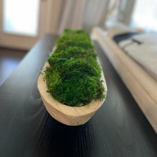 Load image into Gallery viewer, Moss Centerpiece in Natural Wood
