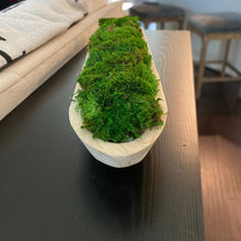 Load image into Gallery viewer, Moss Centerpiece in Natural Wood
