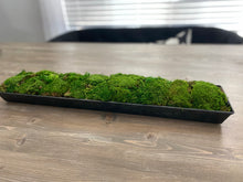 Load image into Gallery viewer, Moss Arrangement in Metal Planter
