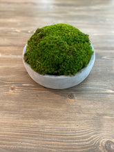 Load image into Gallery viewer, Moss bowl Centerpiece 6” Cement bowl
