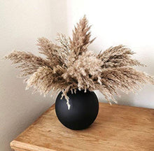 Load image into Gallery viewer, Natural Dried Fluffy Pampas Grass, 50 cm length. Fluffy pampas grass - STYLE LOFT HOME
