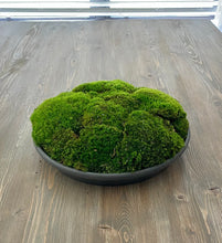 Load image into Gallery viewer, Moss bowl Centerpiece
