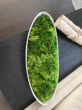 Load image into Gallery viewer, Moss bowl Centerpiece, bowl shape cement bowl
