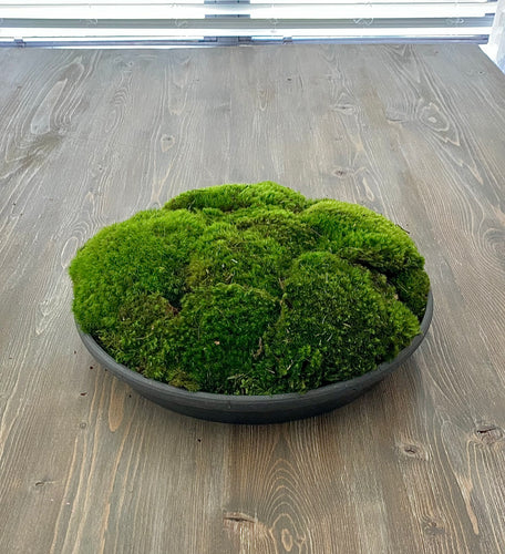 Moss Arrangement, Moss centerpiece, Moss succulent garden