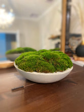 Load image into Gallery viewer, Moss Bowl, Arrangement in Concrete Bowl
