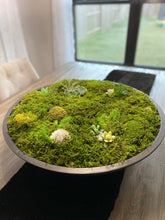 Load image into Gallery viewer, Moss Arrangement, Moss centerpiece, Moss succulent garden
