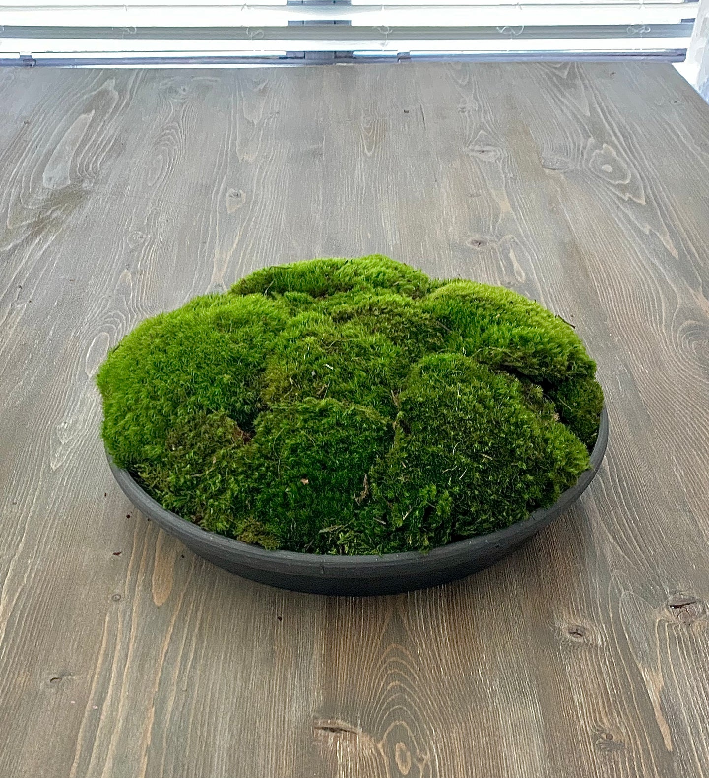 Moss bowl Centerpiece