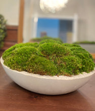 Load image into Gallery viewer, Moss Bowl, Arrangement in Concrete Bowl
