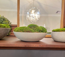 Load image into Gallery viewer, Moss Bowl, Arrangement in Concrete Bowl
