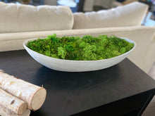 Load image into Gallery viewer, Moss bowl Centerpiece, bowl shape cement bowl
