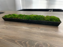 Load image into Gallery viewer, Moss Arrangement in Metal Planter
