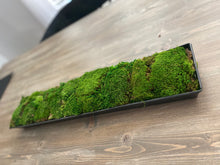 Load image into Gallery viewer, Moss Arrangement in Metal Planter
