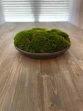 Load image into Gallery viewer, Moss bowl Centerpiece
