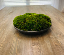 Load image into Gallery viewer, Moss bowl Centerpiece
