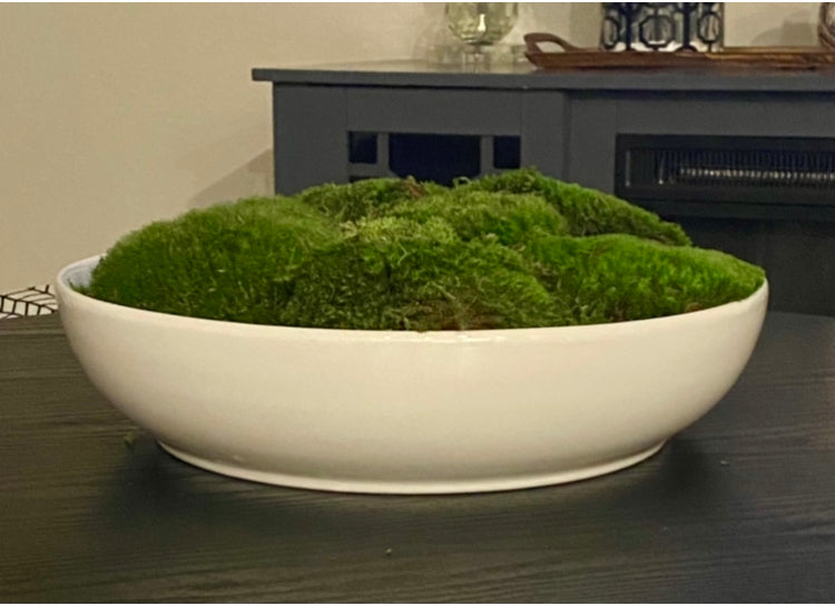 Moss bowl Centerpiece-white Ceramic bowl