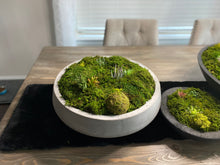 Load image into Gallery viewer, Moss Arrangement, Moss centerpiece, Moss succulent garden
