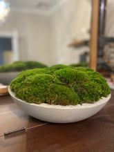 Load image into Gallery viewer, Moss Bowl, Arrangement in Concrete Bowl
